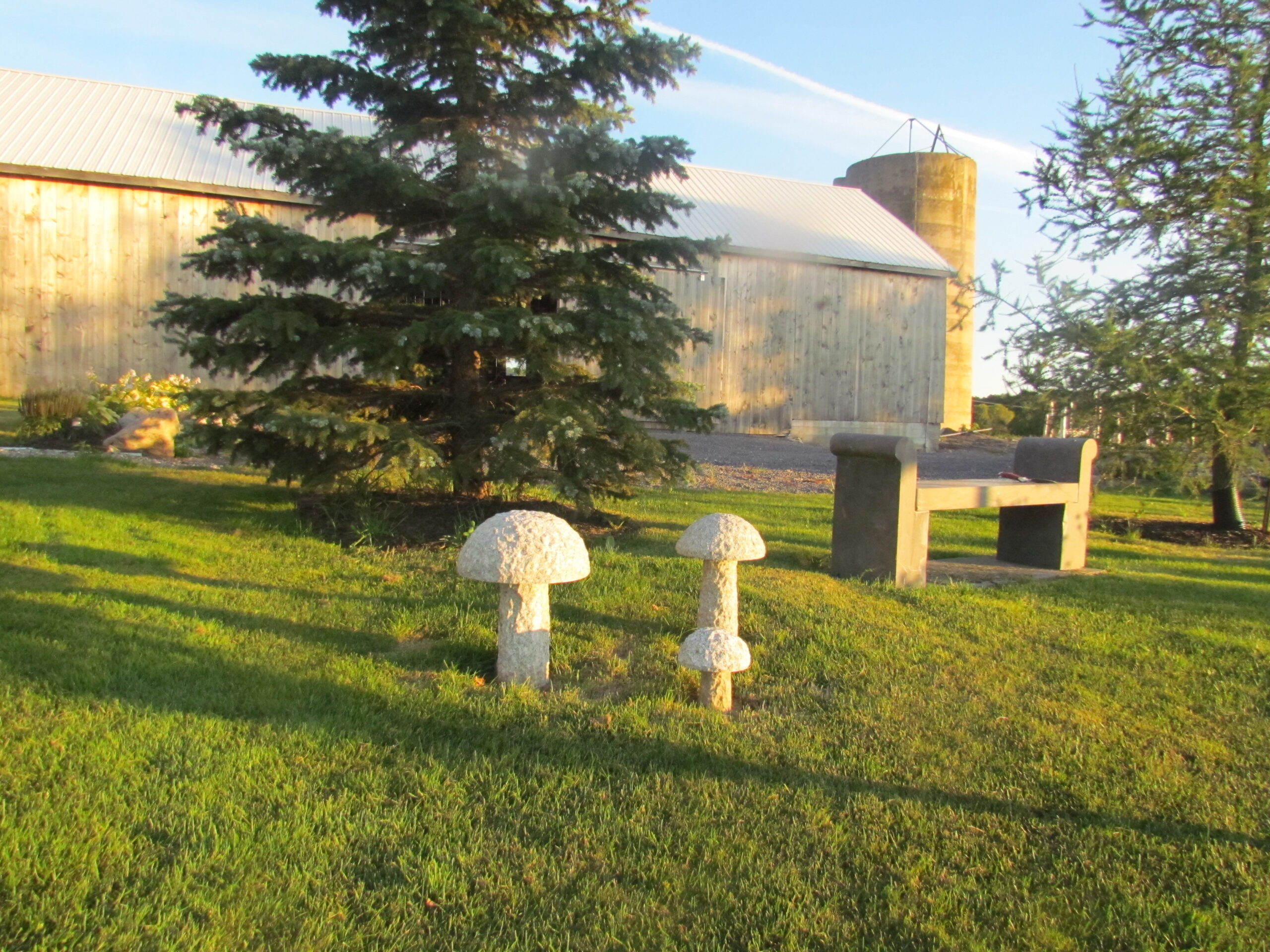 The Bench - Image 5