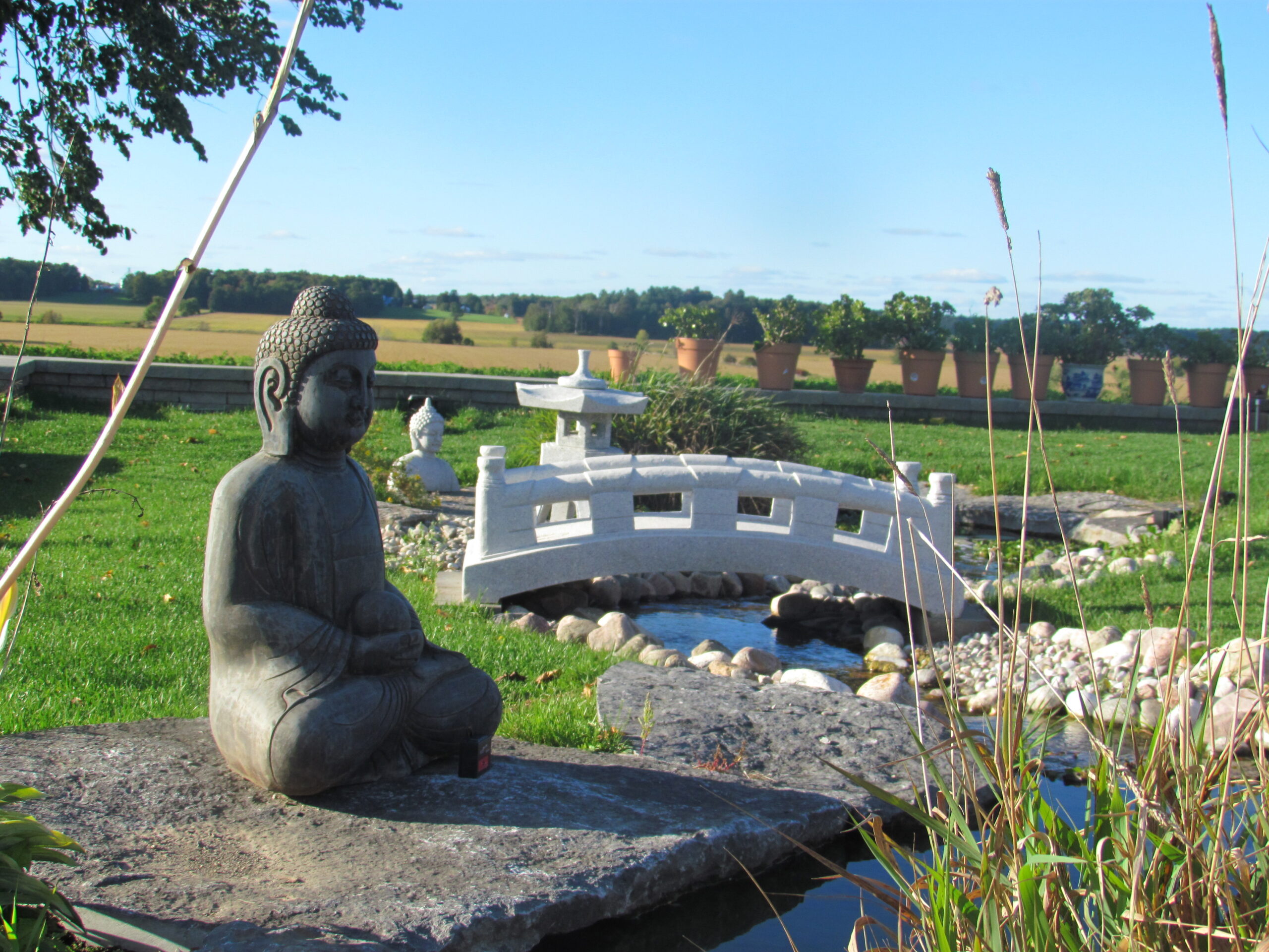 Buddha - Image 5