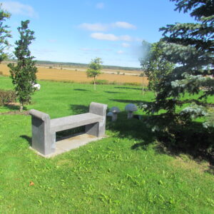 The Bench