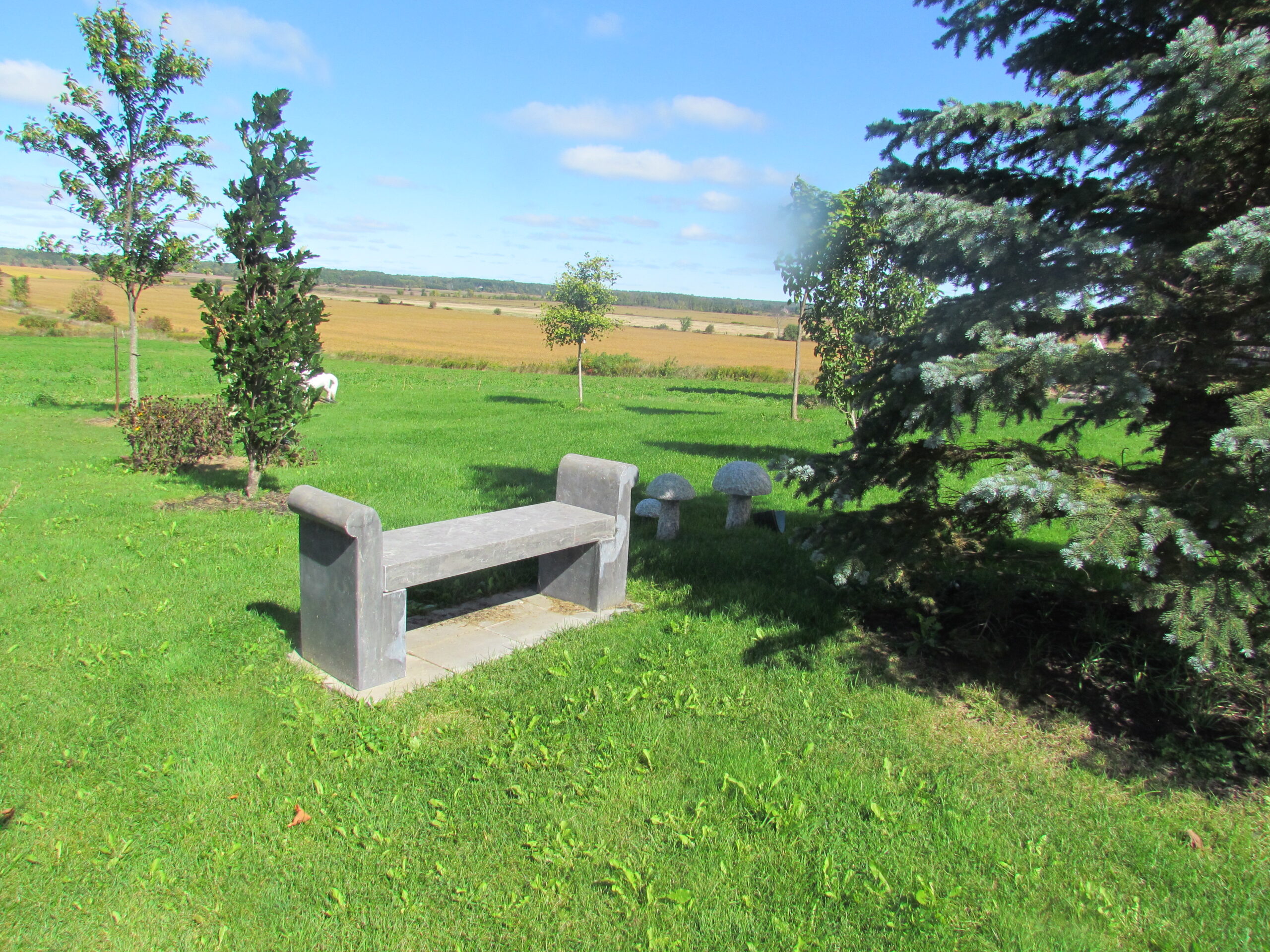 The Bench