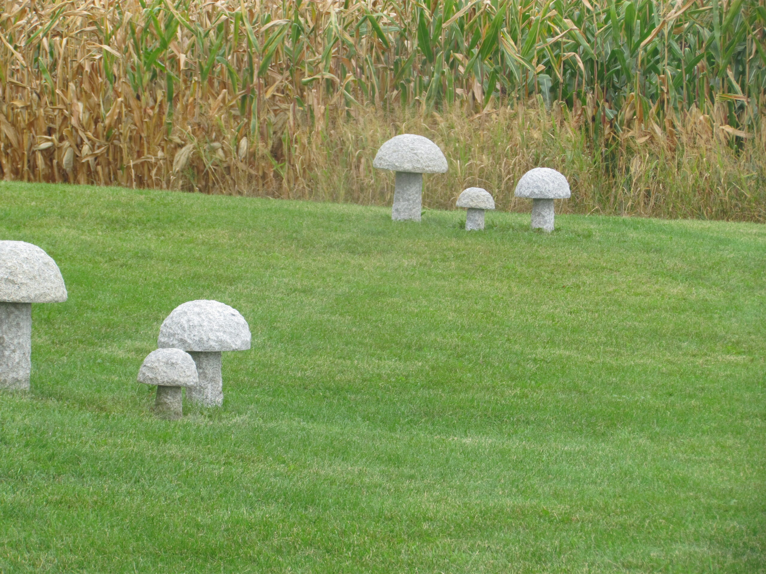 Mushroom Decoration - Image 6