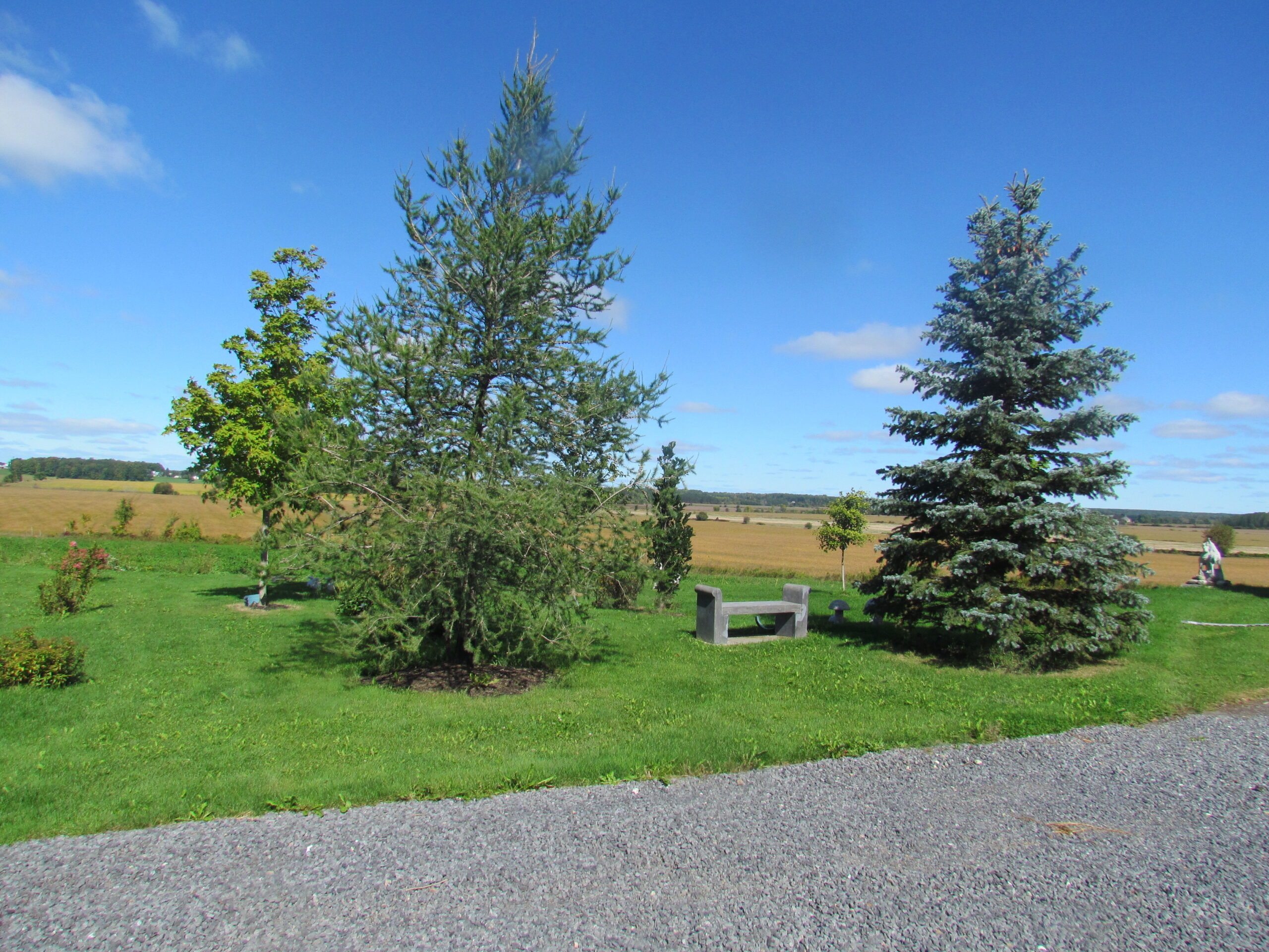 The Bench - Image 4