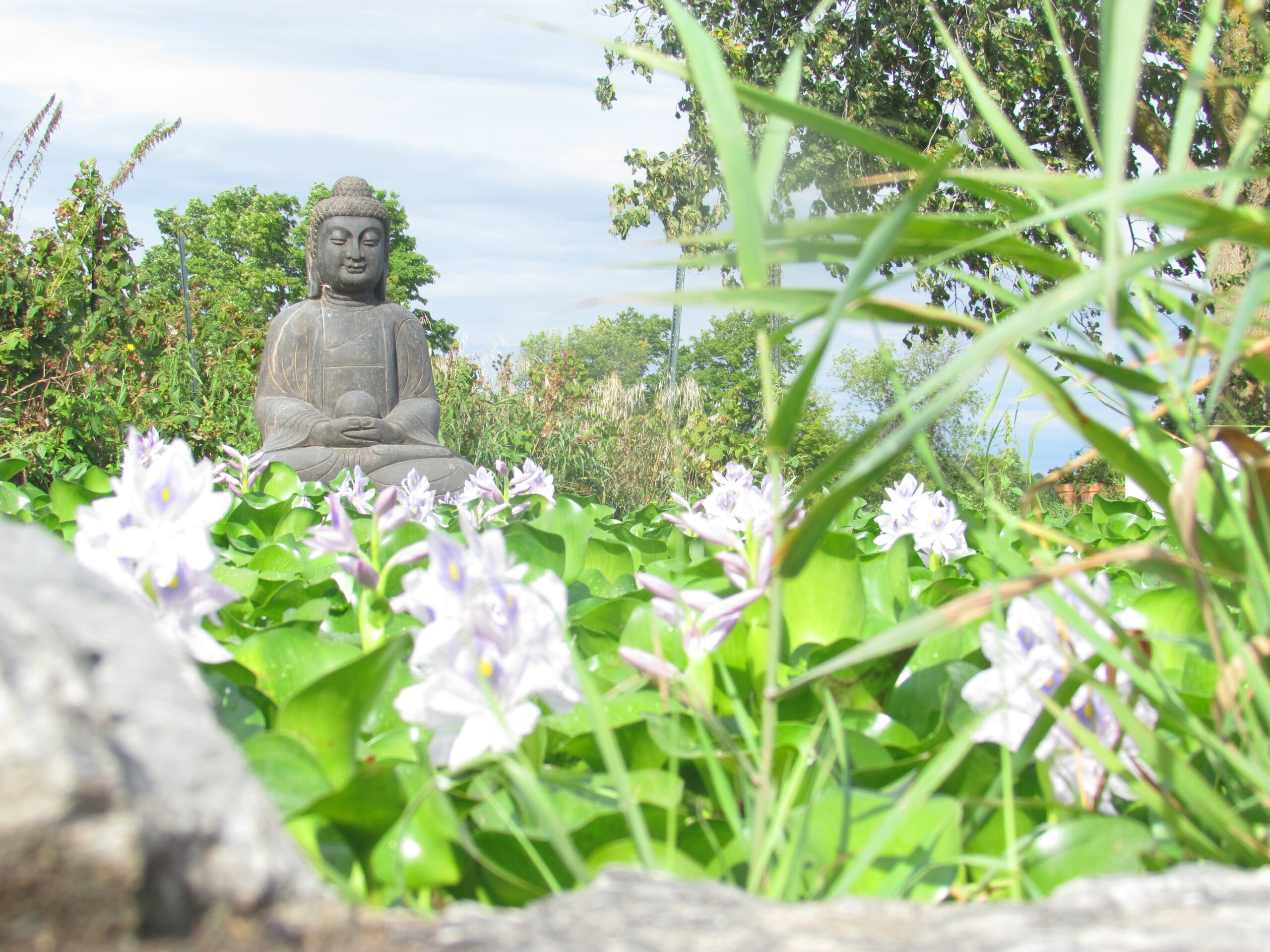 Buddha - Image 4