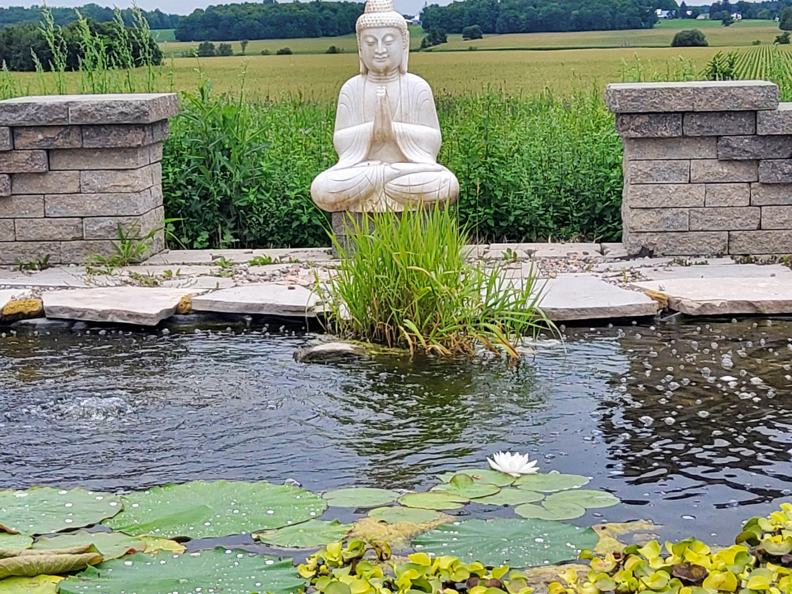 Buddha - Image 3