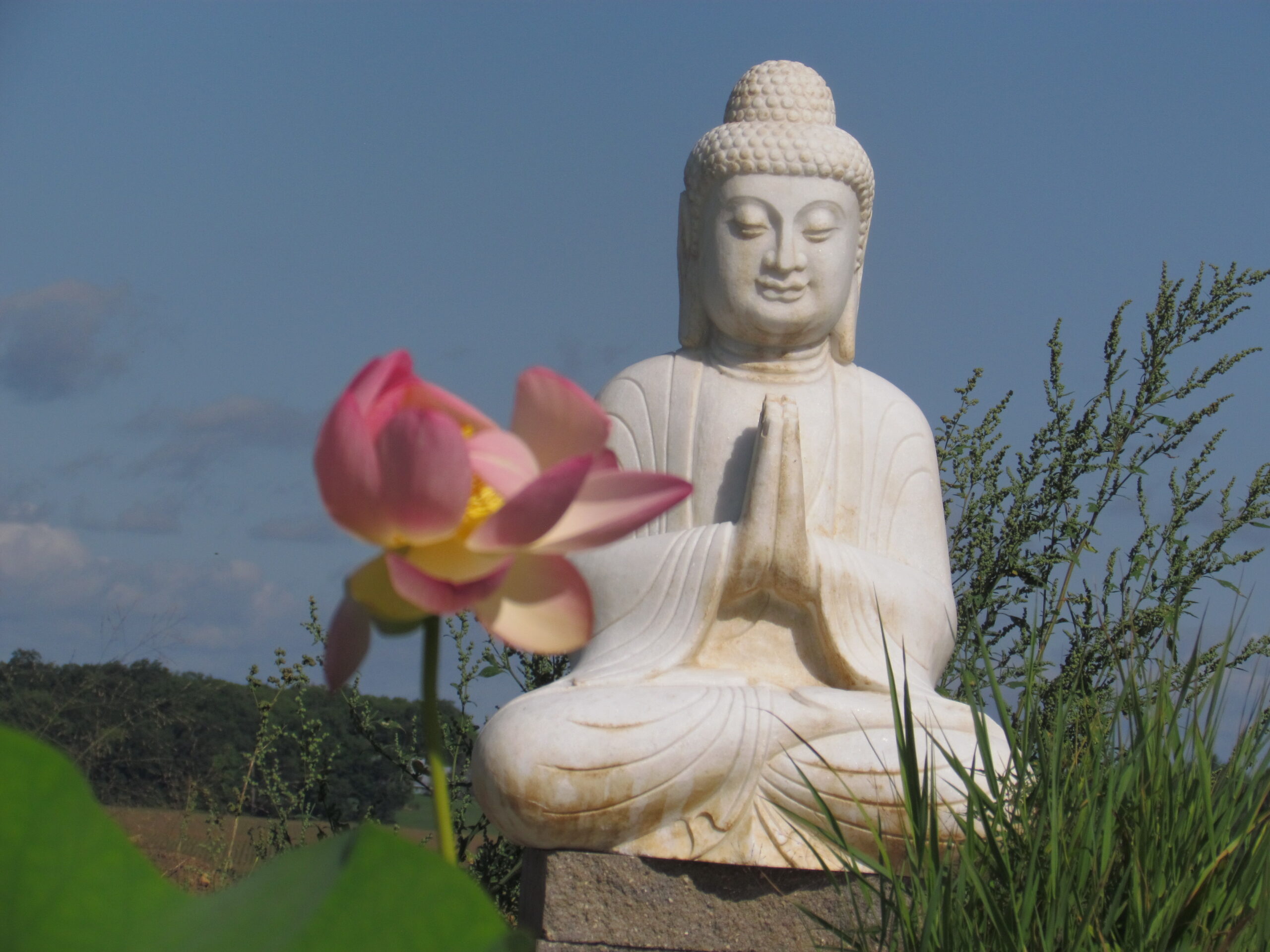 Buddha - Image 7