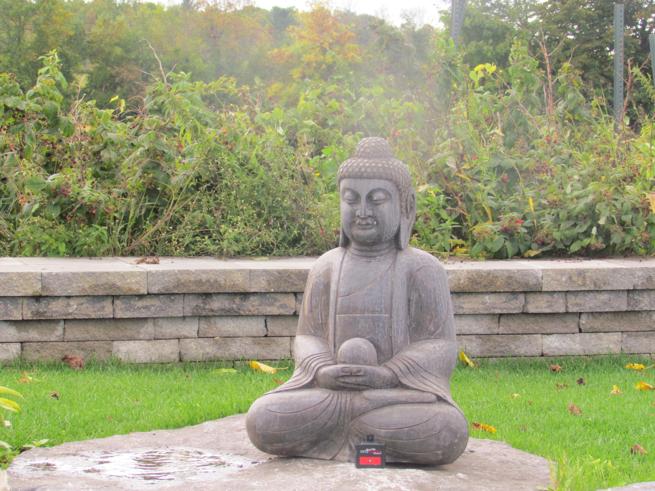 Buddha