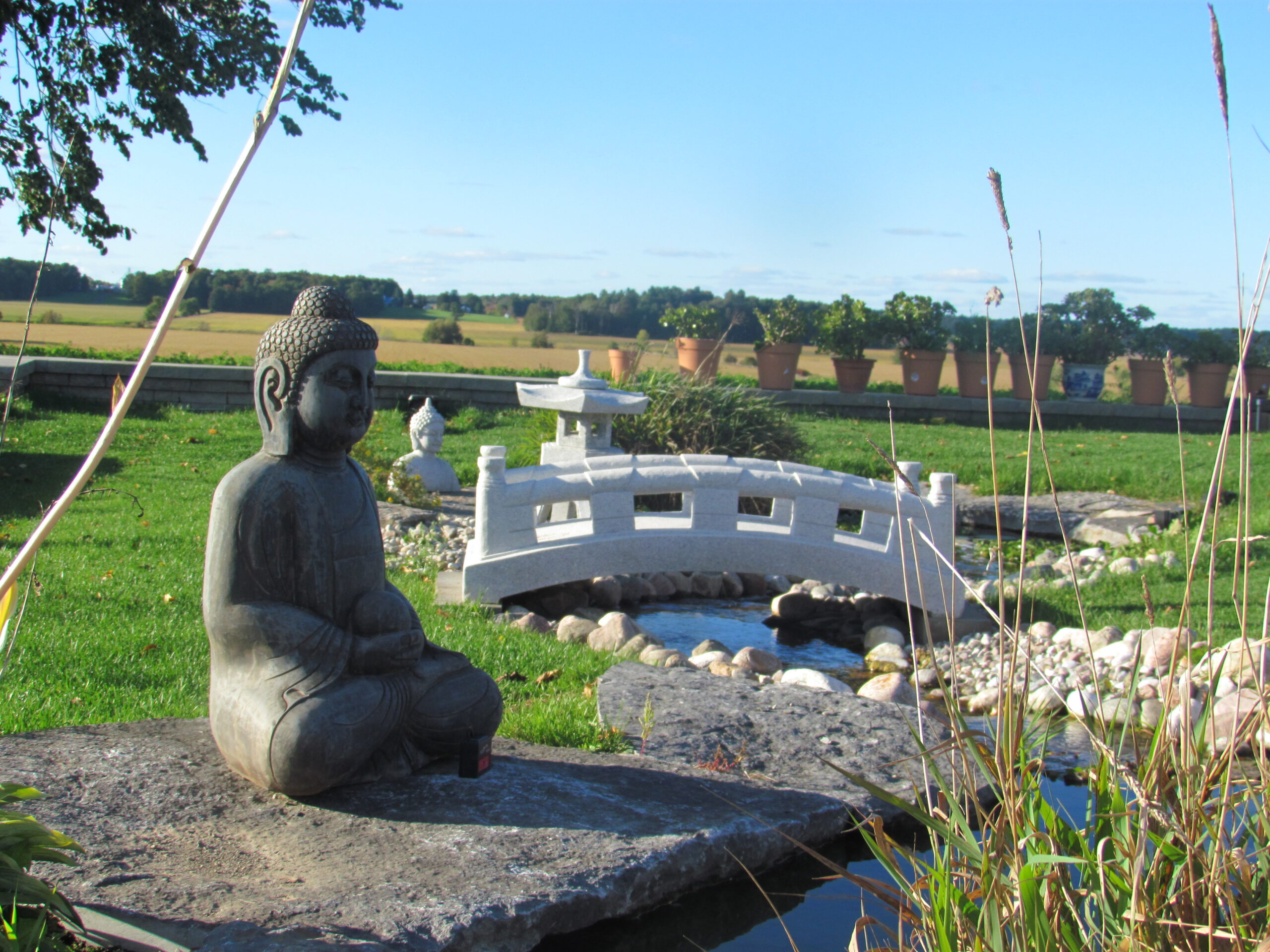 Buddha - Image 2